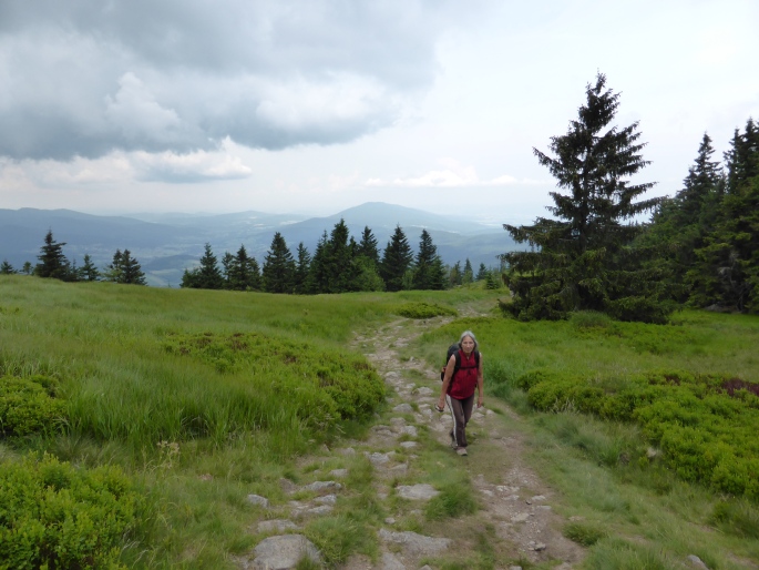 Foto: Manfred Karl / Wandertour / Großer und Kleiner Osser / 15.08.2015 17:38:42