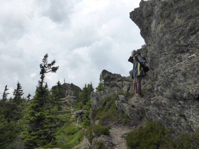 Foto: Manfred Karl / Wandertour / Großer und Kleiner Osser / 15.08.2015 17:34:03
