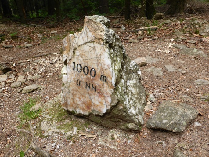 Foto: Manfred Karl / Wandertour / Großer und Kleiner Osser / 15.08.2015 17:33:47