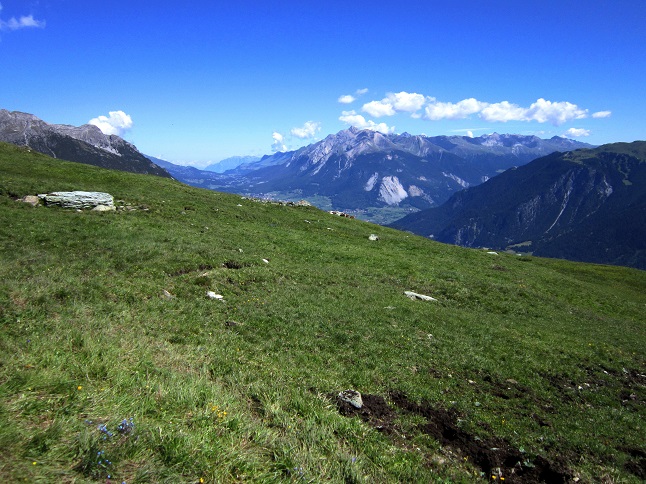 Foto: Andreas Koller / Wandertour / Naturwanderung am Piz Martegnas (2681m) / 30.07.2015 23:38:19