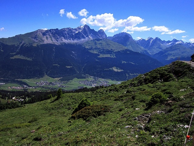 Foto: Andreas Koller / Wandertour / Naturwanderung am Piz Martegnas (2681m) / 30.07.2015 23:37:21