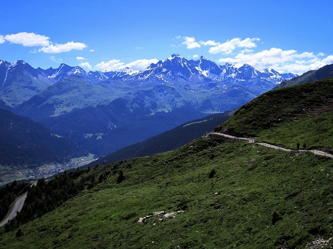 Foto: Andreas Koller / Wandertour / Naturwanderung am Piz Martegnas (2681m) / 30.07.2015 23:37:14