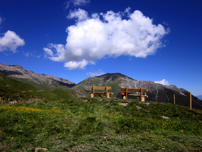 Foto: Andreas Koller / Wandertour / Naturwanderung am Piz Martegnas (2681m) / Hier ab vom Wanderweg! / 30.07.2015 23:37:07