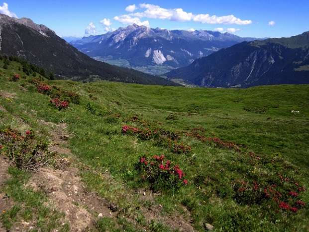 Foto: Andreas Koller / Wandertour / Naturwanderung am Piz Martegnas (2681m) / 30.07.2015 23:36:47