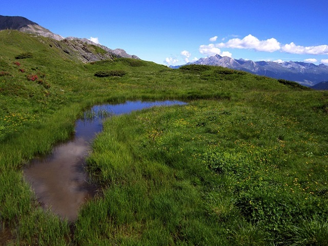 Foto: Andreas Koller / Wandertour / Naturwanderung am Piz Martegnas (2681m) / 30.07.2015 23:36:35