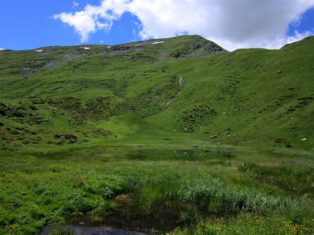 Foto: Andreas Koller / Wandertour / Naturwanderung am Piz Martegnas (2681m) / 30.07.2015 23:36:27