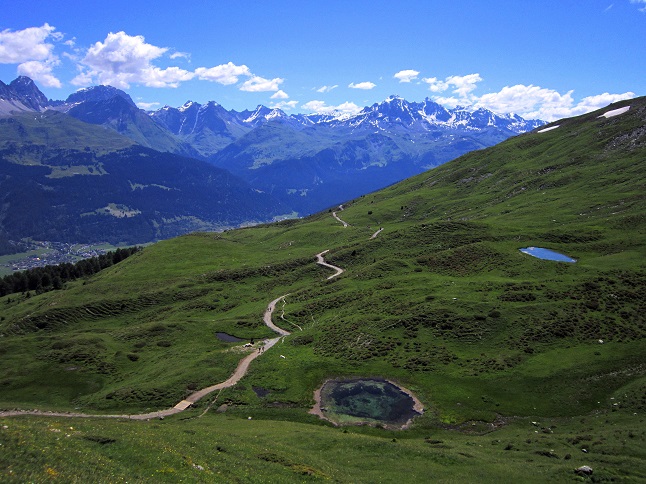 Foto: Andreas Koller / Wandertour / Naturwanderung am Piz Martegnas (2681m) / 30.07.2015 23:36:21