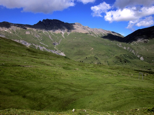 Foto: Andreas Koller / Wandertour / Naturwanderung am Piz Martegnas (2681m) / 30.07.2015 23:35:23