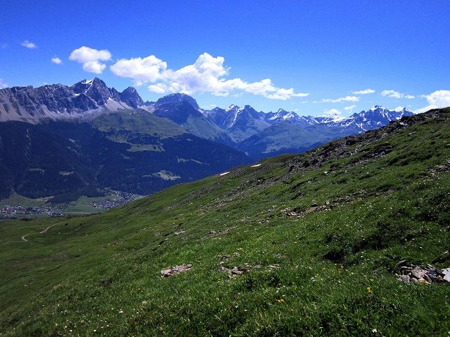 Foto: Andreas Koller / Wandertour / Naturwanderung am Piz Martegnas (2681m) / 30.07.2015 23:35:16