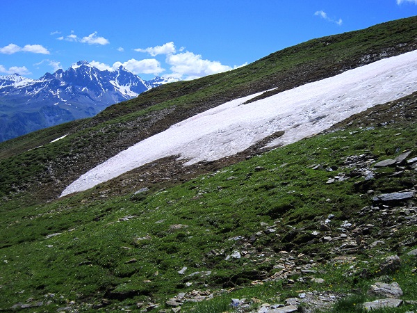 Foto: Andreas Koller / Wandertour / Naturwanderung am Piz Martegnas (2681m) / 30.07.2015 23:35:08