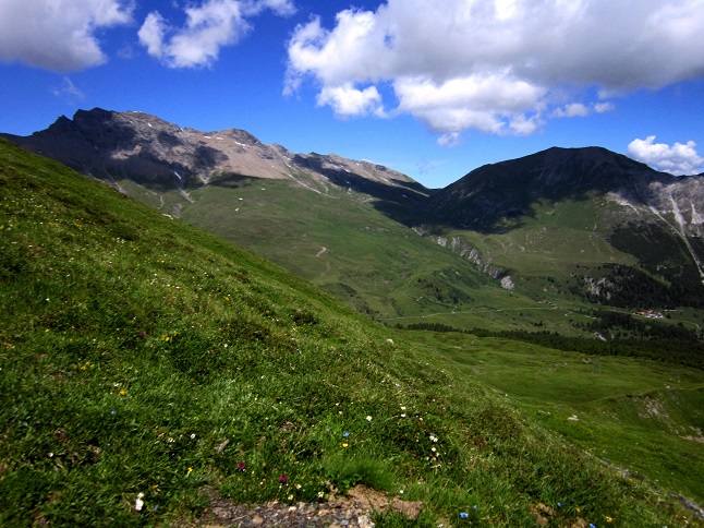 Foto: Andreas Koller / Wandertour / Naturwanderung am Piz Martegnas (2681m) / 30.07.2015 23:35:01