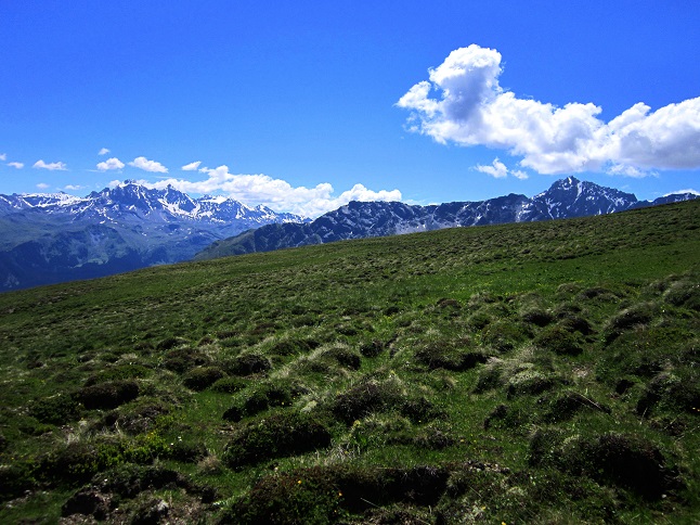 Foto: Andreas Koller / Wandertour / Naturwanderung am Piz Martegnas (2681m) / 30.07.2015 23:34:55