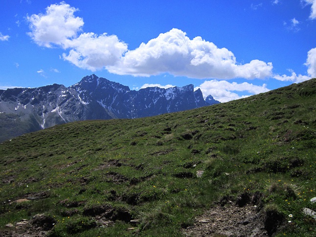 Foto: Andreas Koller / Wandertour / Naturwanderung am Piz Martegnas (2681m) / 30.07.2015 23:34:46