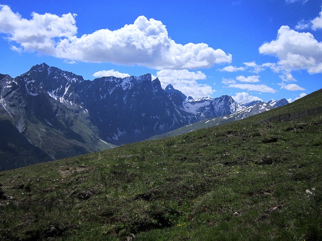Foto: Andreas Koller / Wandertour / Naturwanderung am Piz Martegnas (2681m) / 30.07.2015 23:34:31
