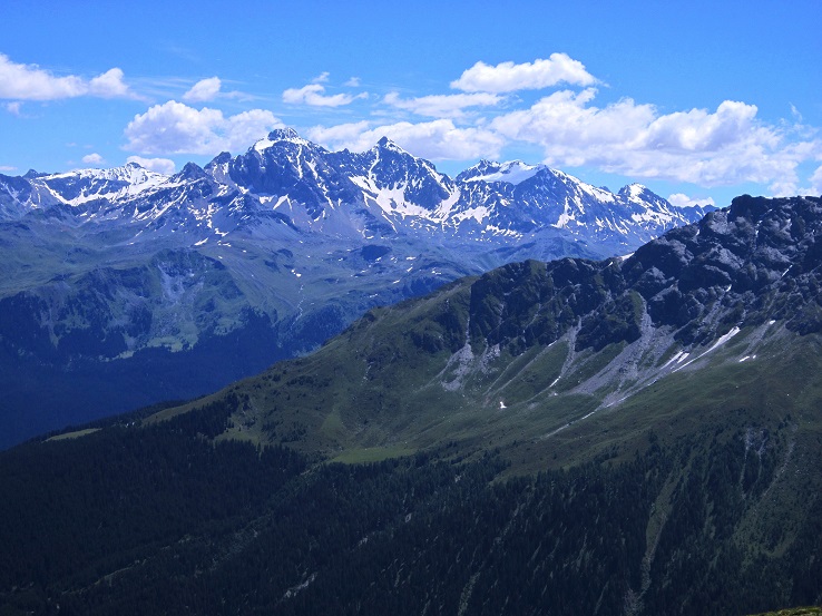 Foto: Andreas Koller / Wandertour / Naturwanderung am Piz Martegnas (2681m) / 30.07.2015 23:34:22
