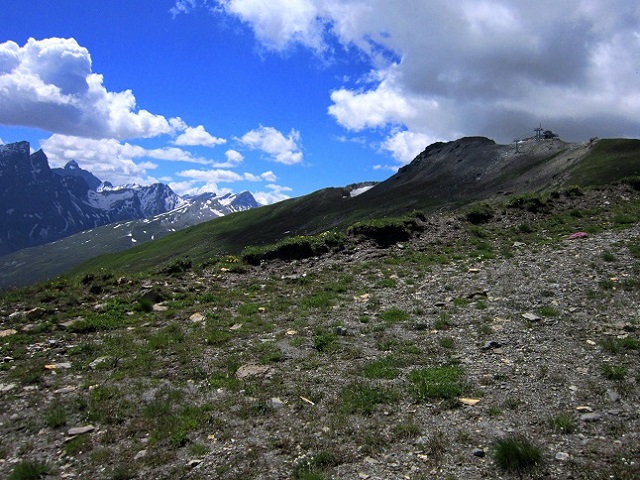 Foto: Andreas Koller / Wandertour / Naturwanderung am Piz Martegnas (2681m) / 30.07.2015 23:34:14