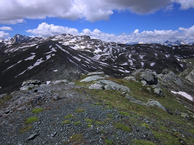 Foto: Andreas Koller / Wandertour / Naturwanderung am Piz Martegnas (2681m) / 30.07.2015 23:33:28