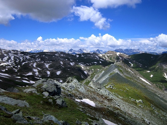 Foto: Andreas Koller / Wandertour / Naturwanderung am Piz Martegnas (2681m) / 30.07.2015 23:33:19