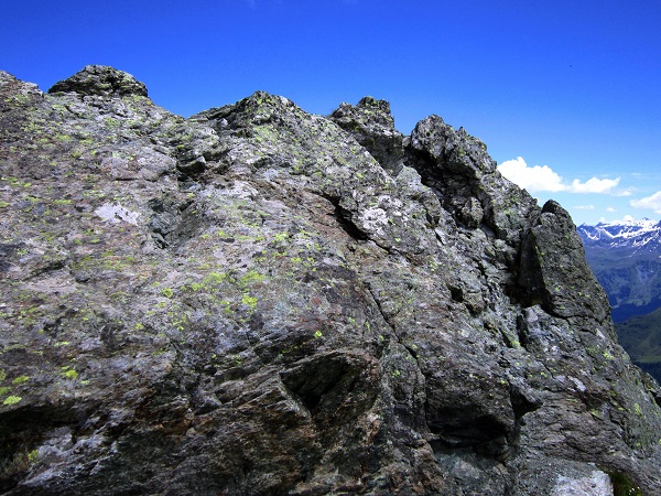 Foto: Andreas Koller / Wandertour / Naturwanderung am Piz Martegnas (2681m) / 30.07.2015 23:33:12