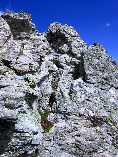 Foto: Andreas Koller / Wandertour / Naturwanderung am Piz Martegnas (2681m) / Leichte Kletterei zum Gipfel / 30.07.2015 23:32:54