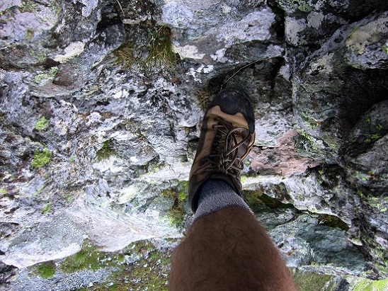 Foto: Andreas Koller / Wandertour / Naturwanderung am Piz Martegnas (2681m) / Abstieg zurück nach Somtgant / 30.07.2015 23:31:39
