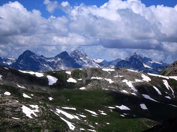 Foto: Andreas Koller / Wandertour / Naturwanderung am Piz Martegnas (2681m) / 30.07.2015 23:31:16