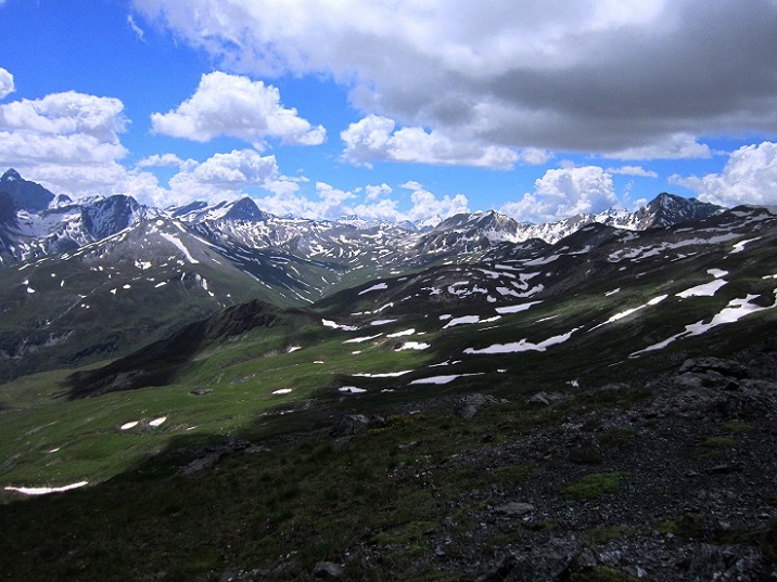 Foto: Andreas Koller / Wandertour / Naturwanderung am Piz Martegnas (2681m) / 30.07.2015 23:30:58