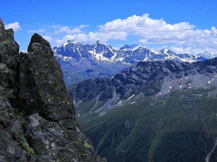 Foto: Andreas Koller / Wandertour / Naturwanderung am Piz Martegnas (2681m) / 30.07.2015 23:30:49