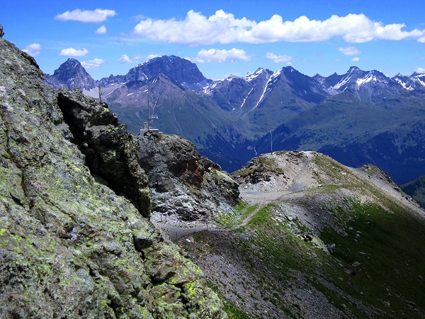 Foto: Andreas Koller / Wandertour / Naturwanderung am Piz Martegnas (2681m) / 30.07.2015 23:30:41