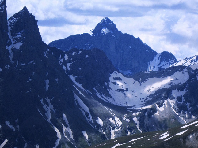 Foto: Andreas Koller / Wandertour / Naturwanderung am Piz Martegnas (2681m) / Piz Platta (3392m) / 30.07.2015 23:30:29