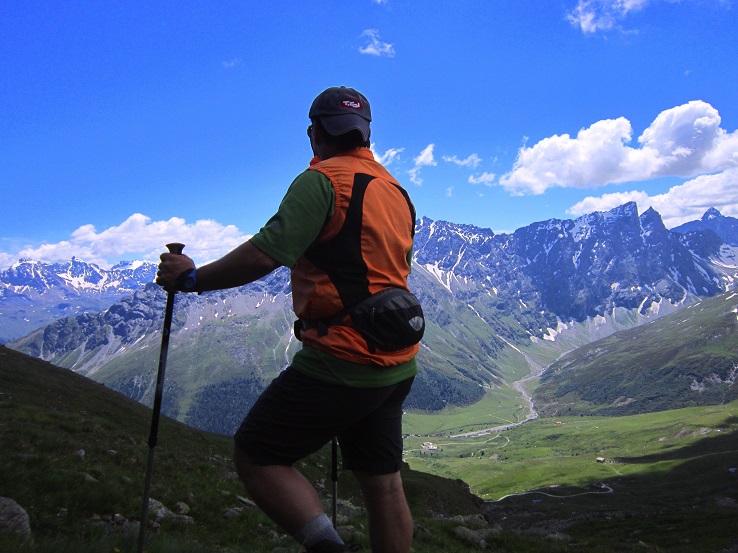 Foto: Andreas Koller / Wandertour / Naturwanderung am Piz Martegnas (2681m) / 30.07.2015 23:29:50