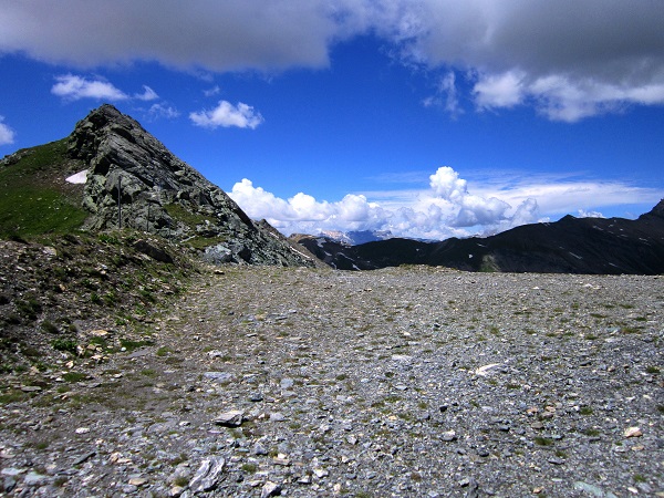 Foto: Andreas Koller / Wandertour / Naturwanderung am Piz Martegnas (2681m) / 30.07.2015 23:29:41