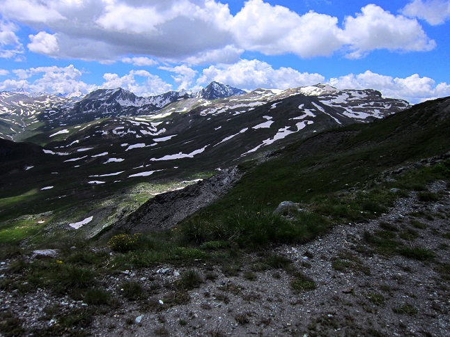 Foto: Andreas Koller / Wandertour / Naturwanderung am Piz Martegnas (2681m) / 30.07.2015 23:29:14
