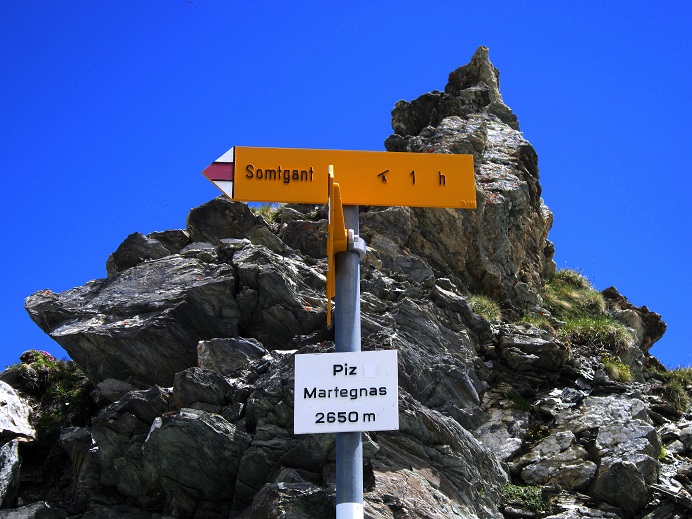 Foto: Andreas Koller / Wandertour / Naturwanderung am Piz Martegnas (2681m) / 30.07.2015 23:29:02