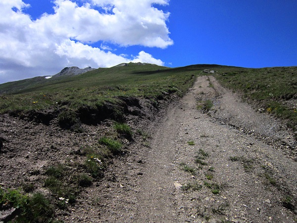 Foto: Andreas Koller / Wandertour / Naturwanderung am Piz Martegnas (2681m) / 30.07.2015 23:28:20