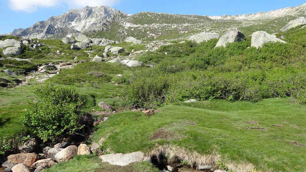 Foto: Datzi / Wandertour / In 17 Tage Korsika entdecken (Tour 2) Rundtour auf den Monte Renoso und Monte Torto / Der Weg vom Parkplatz zum See Lac de Bastani / 01.08.2015 13:29:07