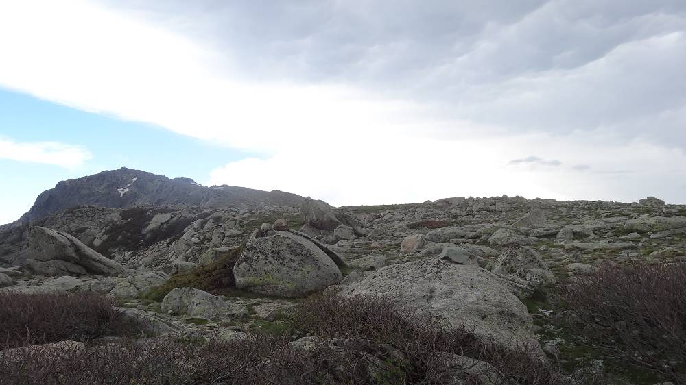 Foto: Datzi / Wandertour / In 17 Tage Korsika entdecken (Tour 2) Rundtour auf den Monte Renoso und Monte Torto / 01.08.2015 13:29:51
