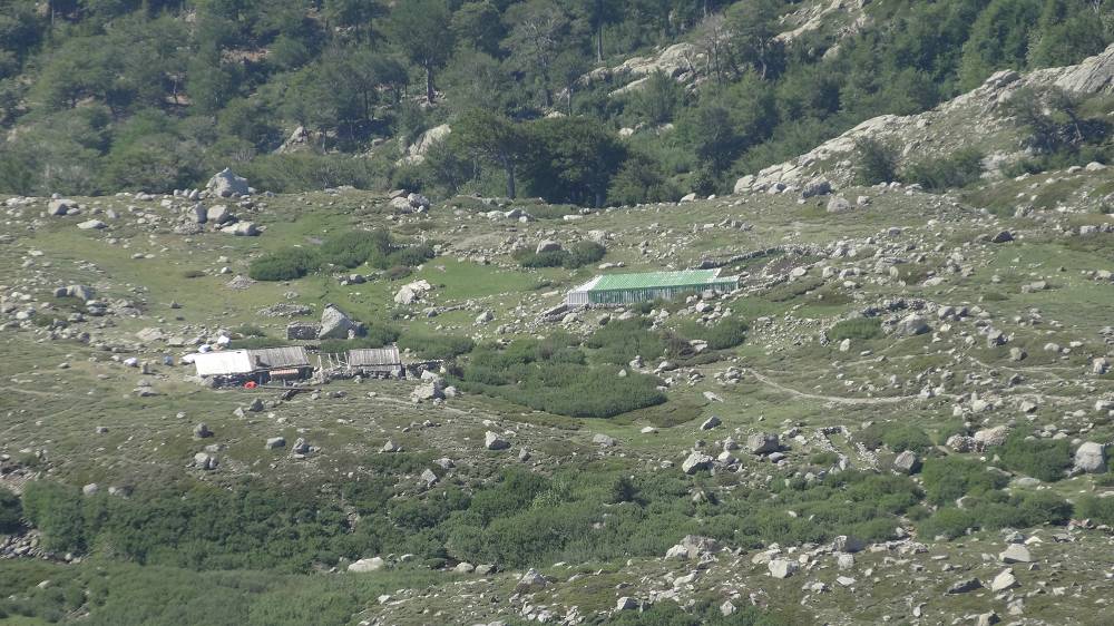Foto: Datzi / Wandertour / In 17 Tage Korsika entdecken (Tour 2) Rundtour auf den Monte Renoso und Monte Torto / Blick vom Grat zur Hütte Bergerie Des Pozzi / 01.08.2015 13:31:02
