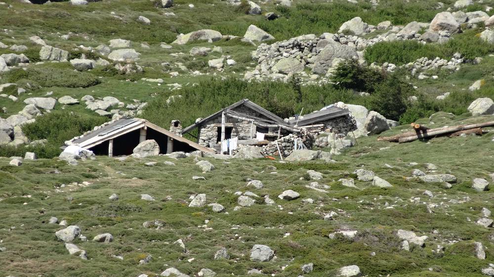 Foto: Datzi / Wandertour / In 17 Tage Korsika entdecken (Tour 2) Rundtour auf den Monte Renoso und Monte Torto / Die Hütte Bergerie Des Pozzi / 01.08.2015 13:31:11
