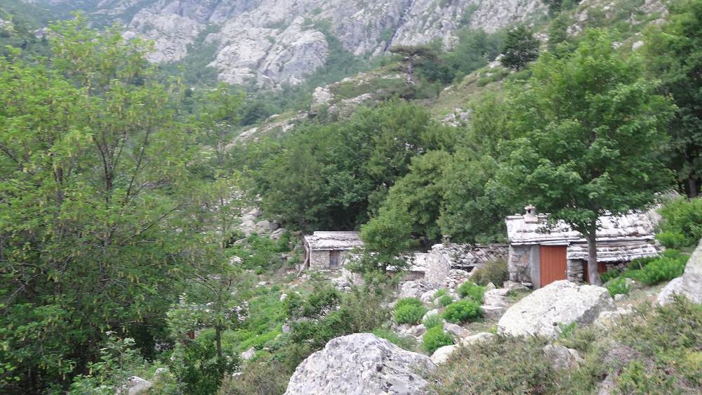 Foto: Datzi / Wandertour / In 17 Tage Korsika entdecken (Tour 2) Rundtour auf den Monte Renoso und Monte Torto / Der Anstieg entlang des GR 20 Weges am 2 Tag vorbei bei Steinhütten / 01.08.2015 13:32:11