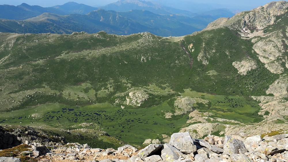 Foto: Datzi / Wandertour / In 17 Tage Korsika entdecken (Tour 2) Rundtour auf den Monte Renoso und Monte Torto / Pozzi (Lake/Pond) ist ein Feuchtraumbiotop in den Bergen Korsika / 01.08.2015 13:34:42