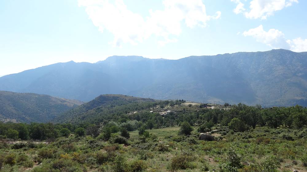 Foto: Datzi / Wandertour / In 17 Tage Korsika entdecken (Tour 3) Rundtour über den Lac Du Cinto auf den Monte Cinto zum Paglia Orba und Abstieg auf einen einsamen Weg / Blick zurück beim Anstieg zum Gampingplatz / 01.08.2015 20:15:34