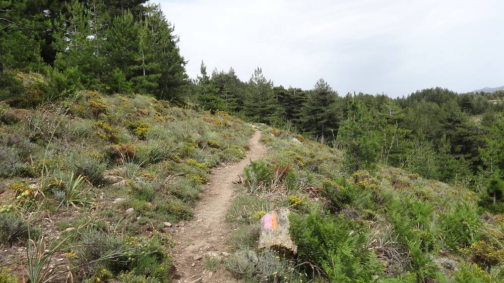 Foto: Datzi / Wandertour / In 17 Tage Korsika entdecken (Tour 3) Rundtour über den Lac Du Cinto auf den Monte Cinto zum Paglia Orba und Abstieg auf einen einsamen Weg / 01.08.2015 20:48:03
