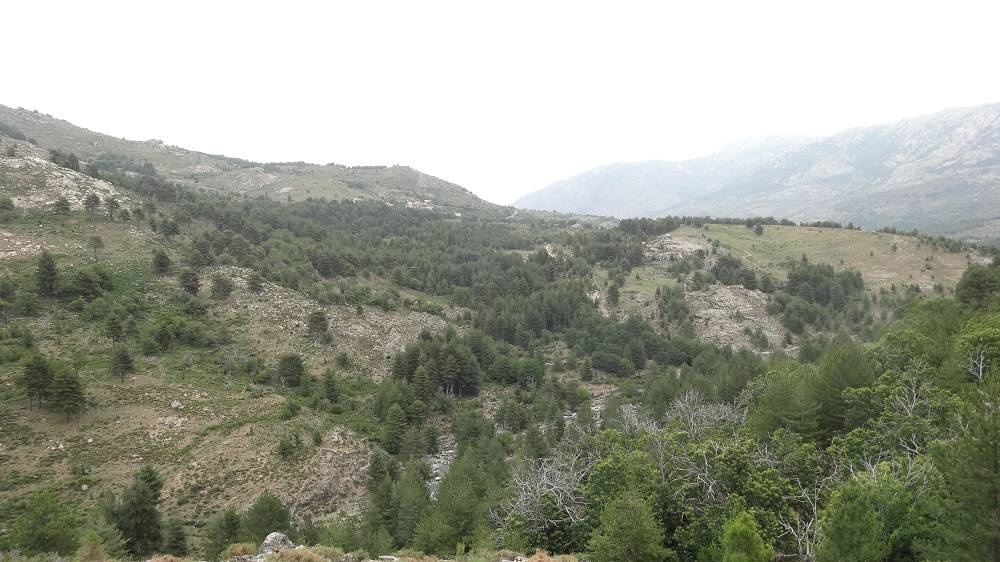 Foto: Datzi / Wandertour / In 17 Tage Korsika entdecken (Tour 3) Rundtour über den Lac Du Cinto auf den Monte Cinto zum Paglia Orba und Abstieg auf einen einsamen Weg / 01.08.2015 20:48:28