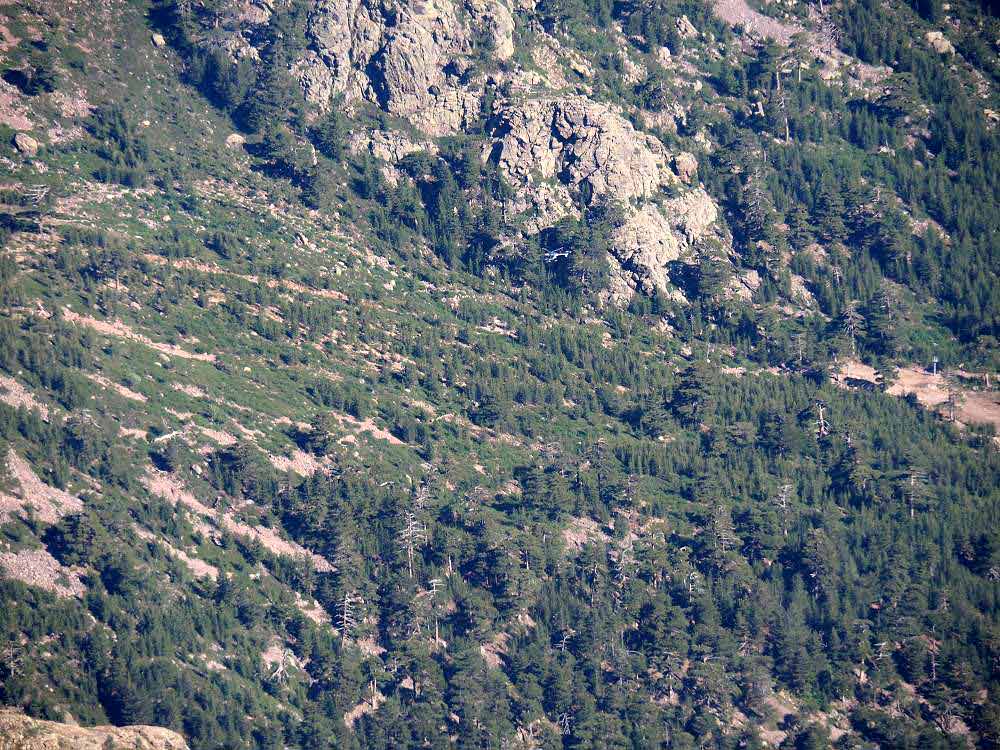 Foto: Datzi / Wandertour / In 17 Tage Korsika entdecken (Tour 3) Rundtour über den Lac Du Cinto auf den Monte Cinto zum Paglia Orba und Abstieg auf einen einsamen Weg / Hubschrauberflüge zum GR20 Übergang vom Aostal / 01.08.2015 20:34:56