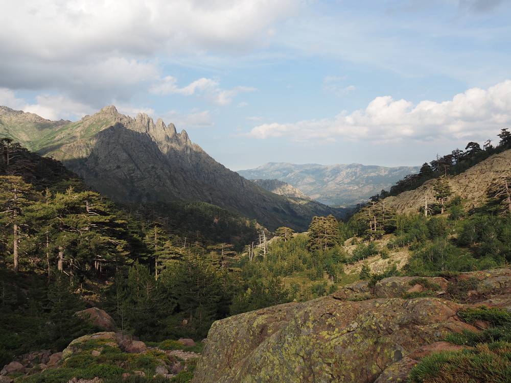 Foto: Datzi / Wandertour / In 17 Tage Korsika entdecken (Tour 3) Rundtour über den Lac Du Cinto auf den Monte Cinto zum Paglia Orba und Abstieg auf einen einsamen Weg / Der Weg von der Hütte Bergerie de Ballone zur Hütte Refuge Ciottulu Di I Mori (1991) entlang des GR 20 Weges / 01.08.2015 20:37:10