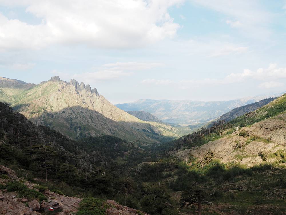 Foto: Datzi / Wandertour / In 17 Tage Korsika entdecken (Tour 3) Rundtour über den Lac Du Cinto auf den Monte Cinto zum Paglia Orba und Abstieg auf einen einsamen Weg / Der Weg von der Hütte Bergerie de Ballone zur Hütte Refuge Ciottulu Di I Mori (1991) entlang des GR 20 Weges / 01.08.2015 20:38:48