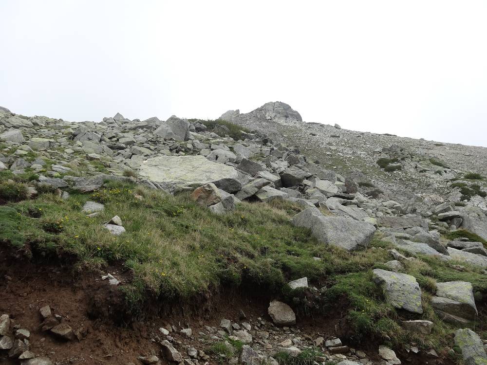 Foto: Datzi / Wandertour / In 17 Tage Korsika entdecken (Tour 4) Rundtour über den Monte D Oro (2389m) / 03.08.2015 18:55:49