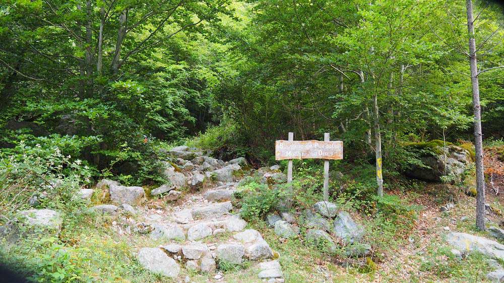 Foto: Datzi / Wandertour / In 17 Tage Korsika entdecken (Tour 4) Rundtour über den Monte D Oro (2389m) / Hier beginnt der Weg zum Anstieg des Monte D Oro / 03.08.2015 18:51:51