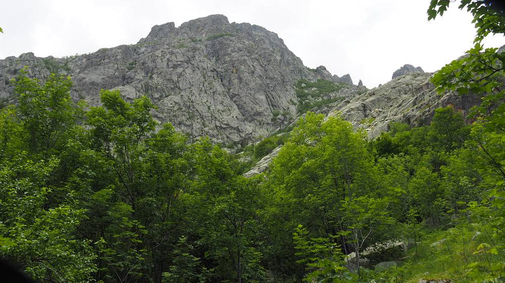 Foto: Datzi / Wandertour / In 17 Tage Korsika entdecken (Tour 4) Rundtour über den Monte D Oro (2389m) / Der Anstieg durch den Wald / 03.08.2015 18:52:03